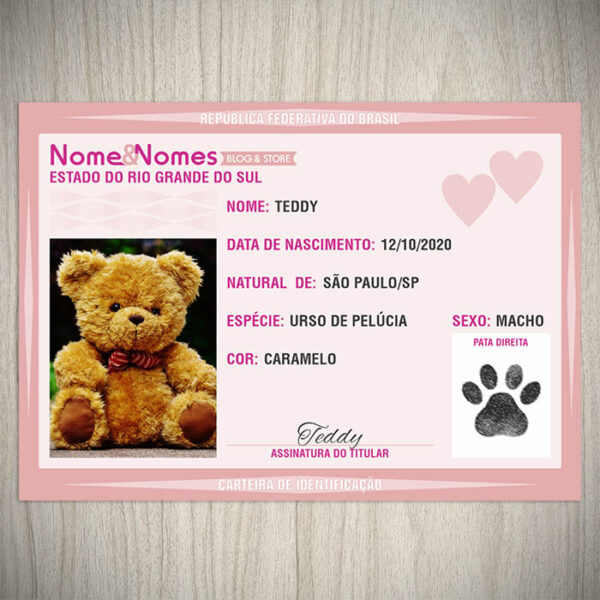 Carteira de Identificação - Urso de Pelúcia