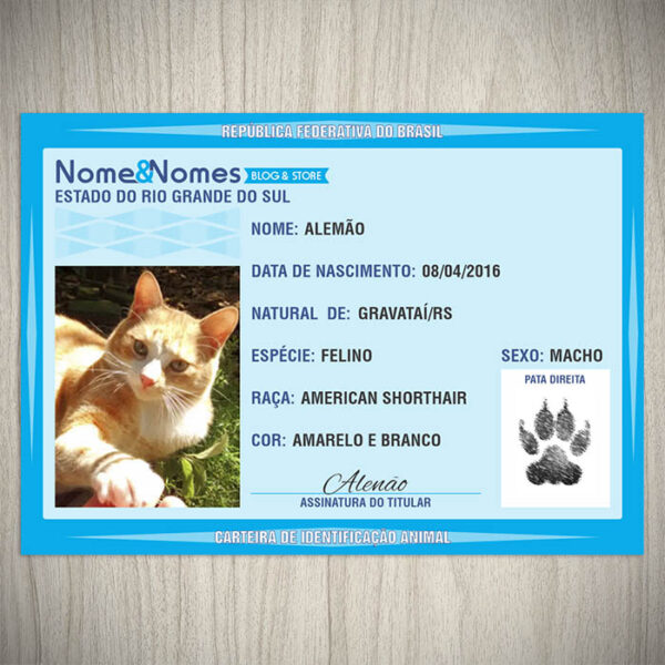 Carteira de Identificação Animal Gato