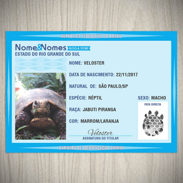 Carteira de Identificação Animal Jabuti