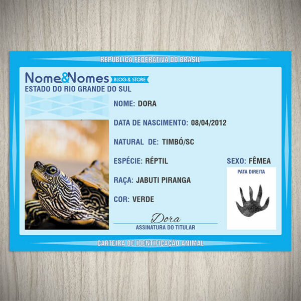 Carteira de Identificação Animal Tartaruga