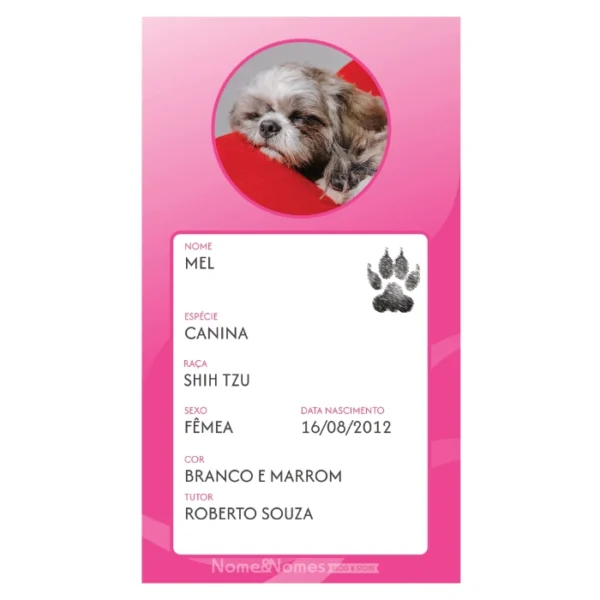 Carteia PET (Identificação) - Digital - Lançamento - Imagem 2