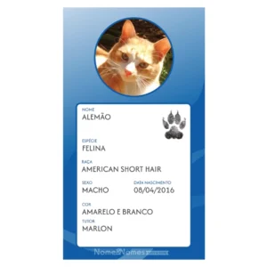 Carteia PET (Identificação) - Digital - Lançamento