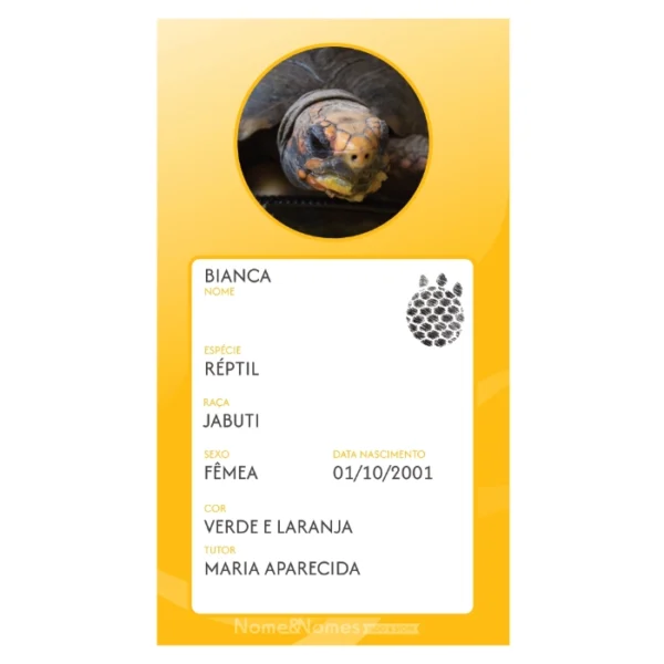 Carteia PET (Identificação) - Digital - Lançamento - Imagem 3