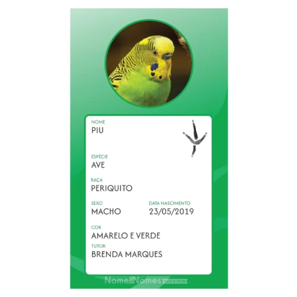 Carteia PET (Identificação) - Digital - Lançamento - Imagem 4